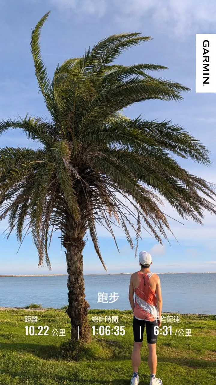 原來是逼牌！🏝️
