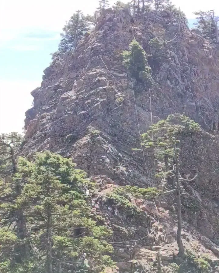 下雨天不宜爬山，只能看看動態回顧 🥹