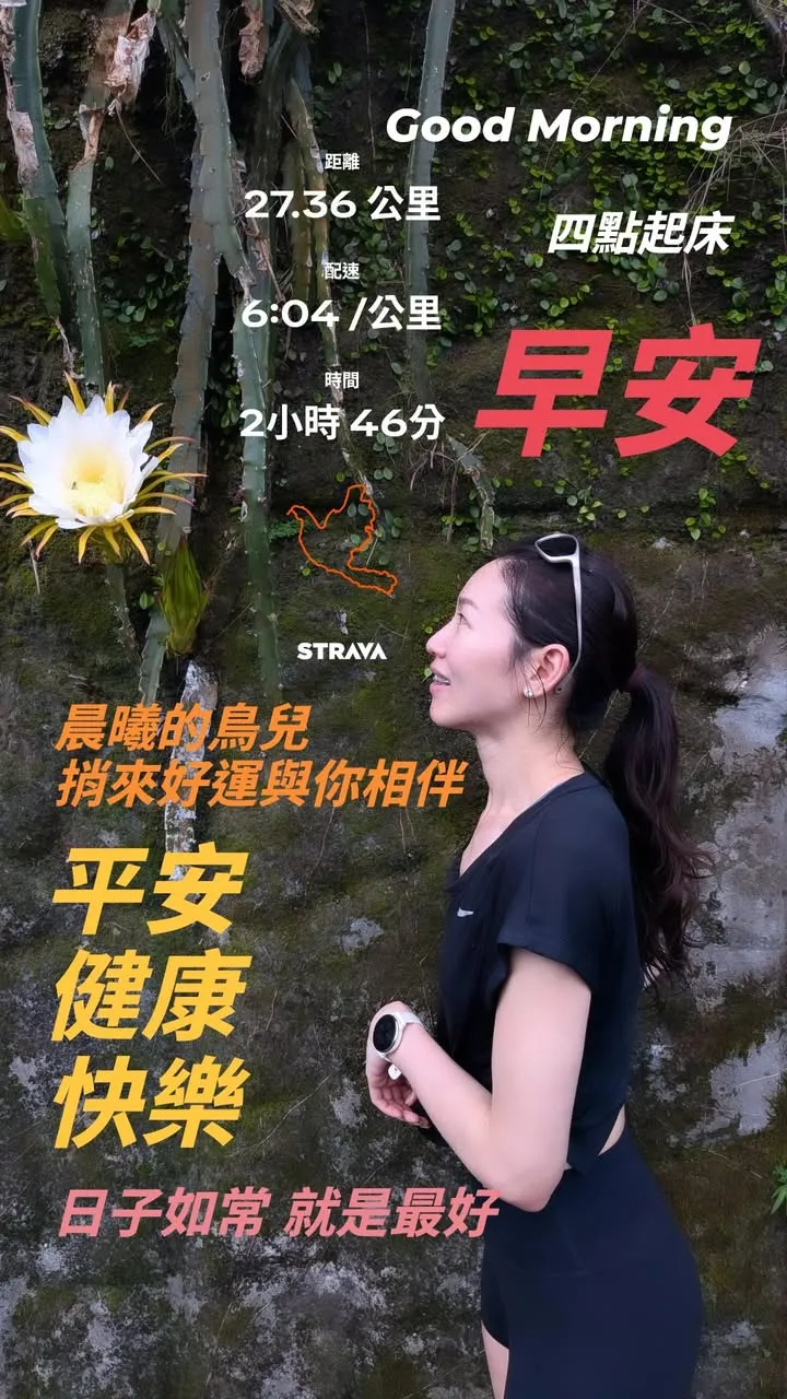 四點起床用 #汐鴿 和各位說聲早 🕊️